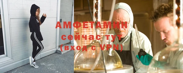 сатива Алзамай