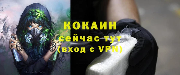 хмурый Липки