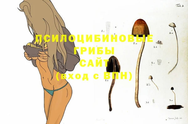 первитин Алексеевка