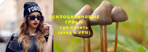 сатива Алзамай