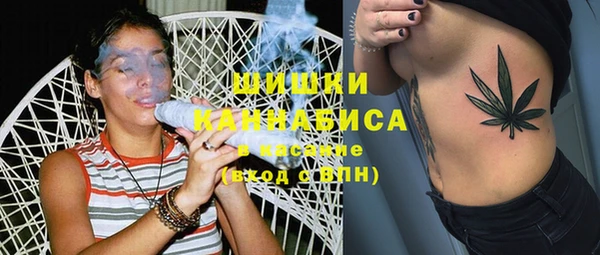сатива Алзамай