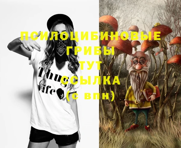 первитин Алексеевка
