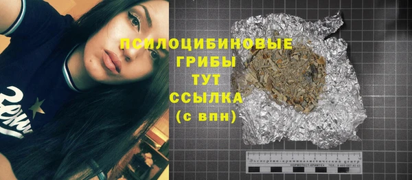 сатива Алзамай