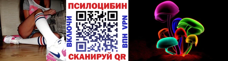 продажа наркотиков  Шумиха  Псилоцибиновые грибы ЛСД 